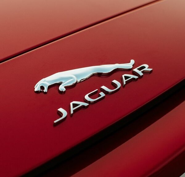 f nborstw product features overview