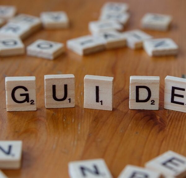 beginner friendly guide to 9545058434